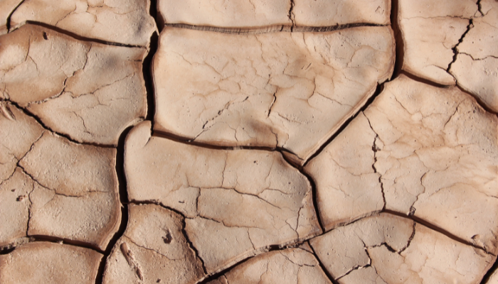Your Skin Barrier Decoded: Damage, Causes & how to Repair it.