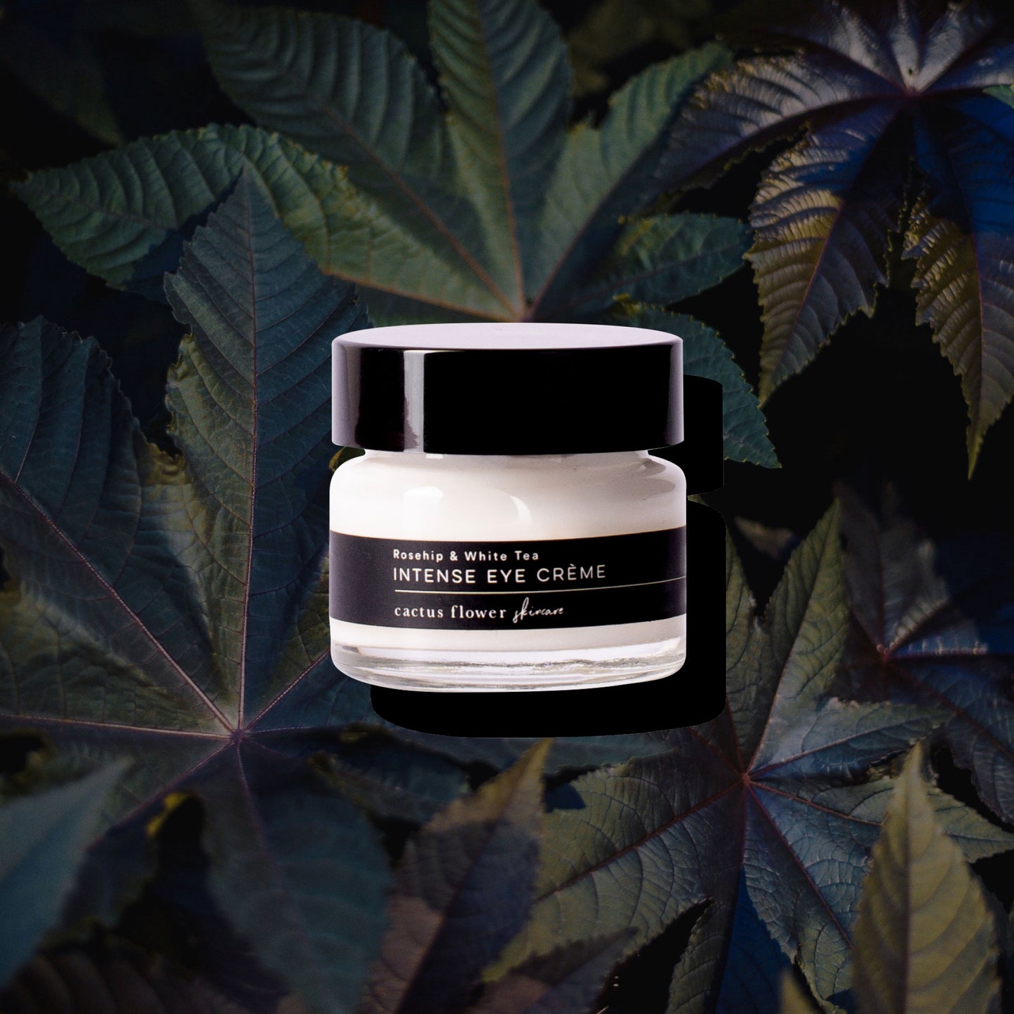 Intense Eye Crème