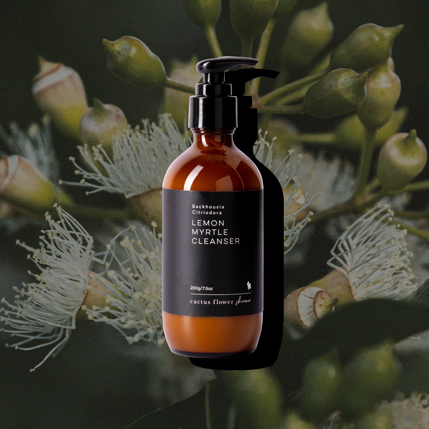 Lemon Myrtle Cleanser