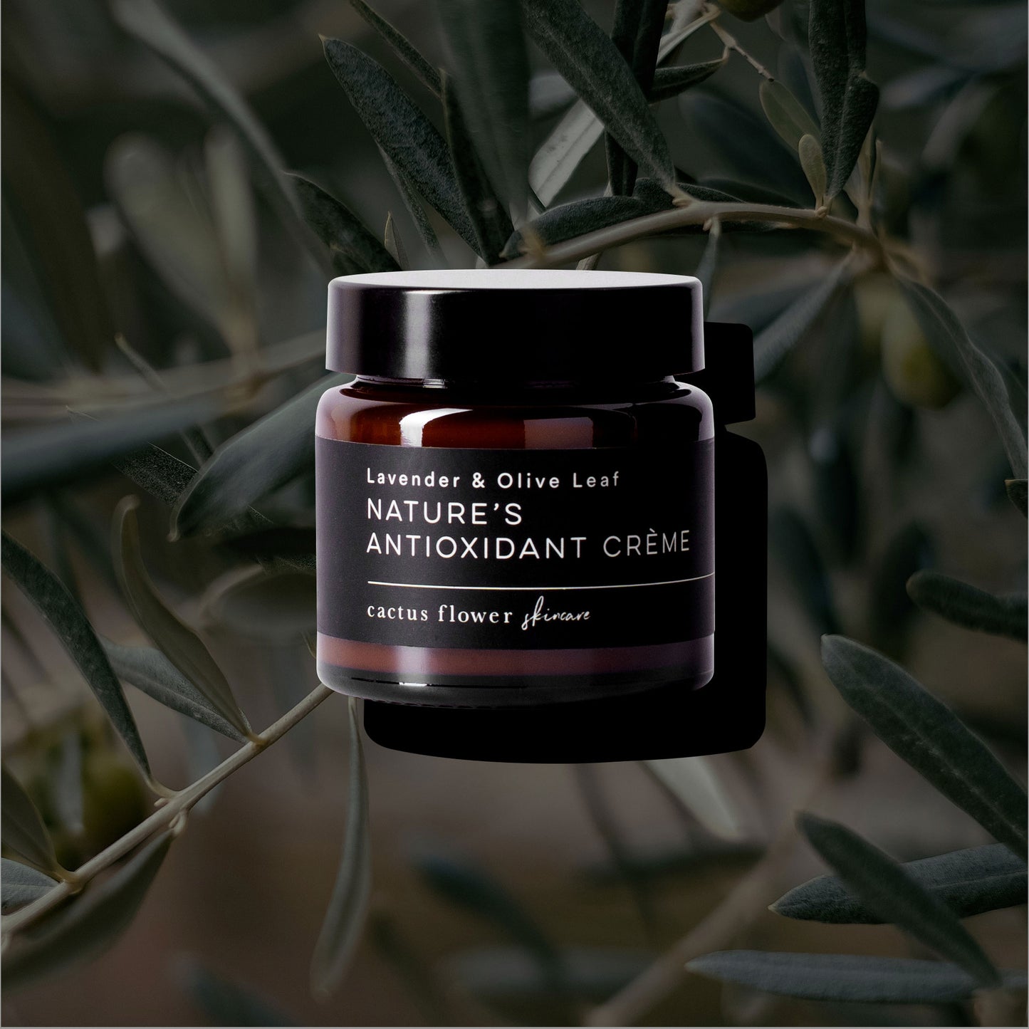 Nature's Antioxidant Crème