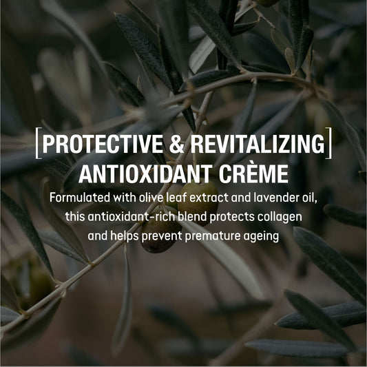 Nature's Antioxidant Crème