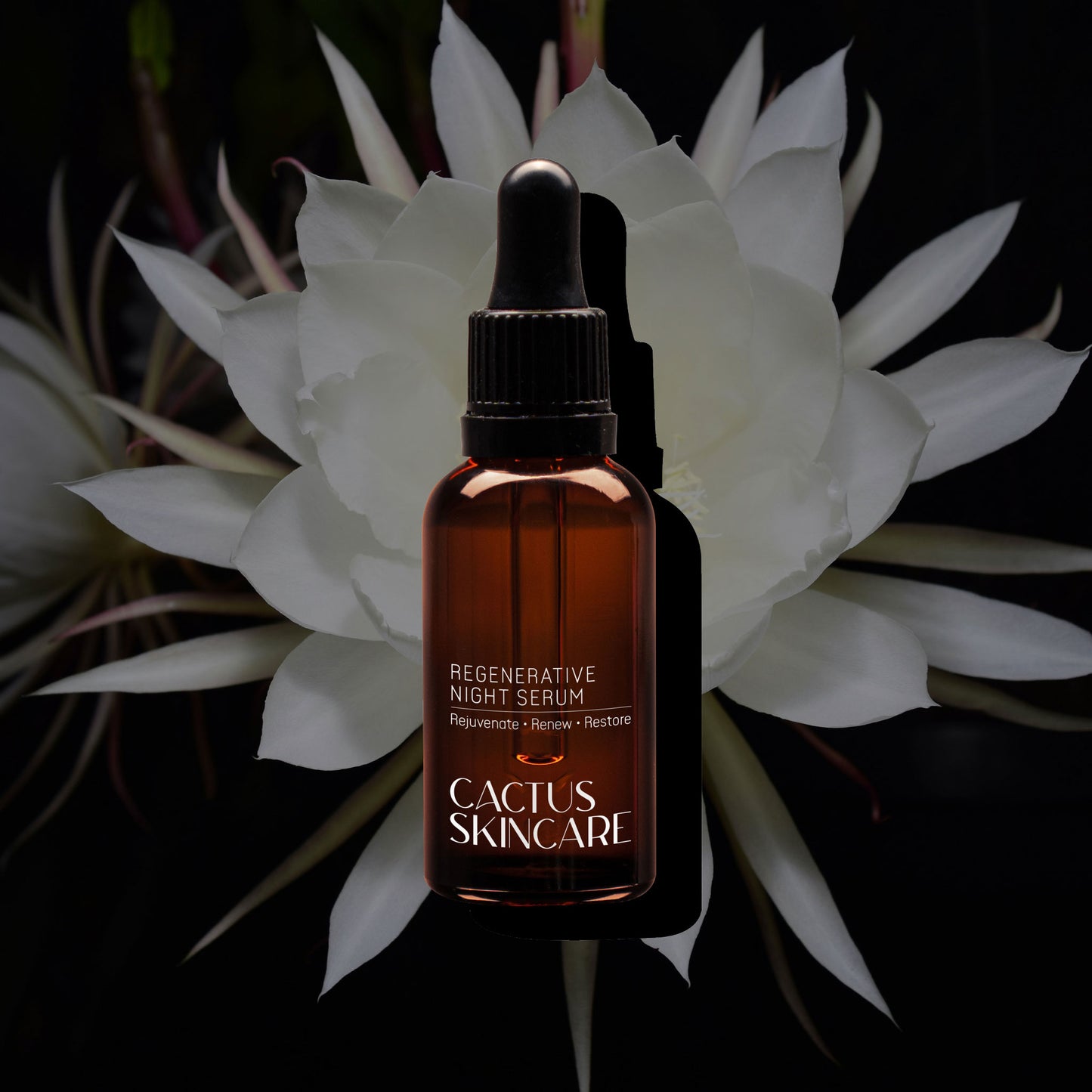 Regenerative Night Serum