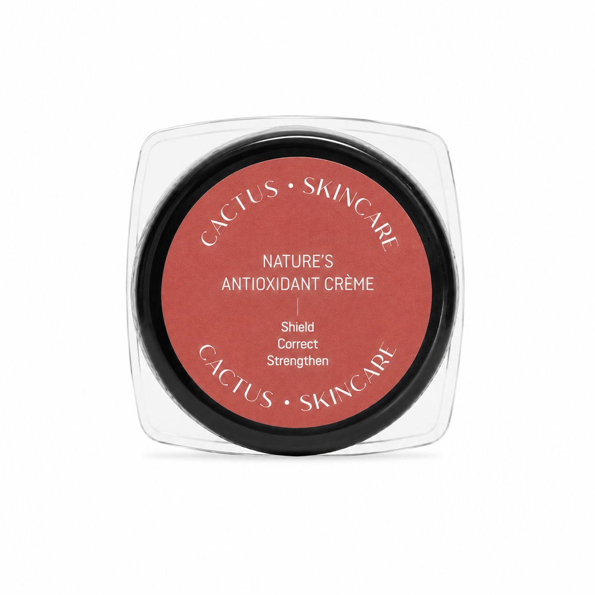 Sample - Nature's Anti-Oxidant Creme