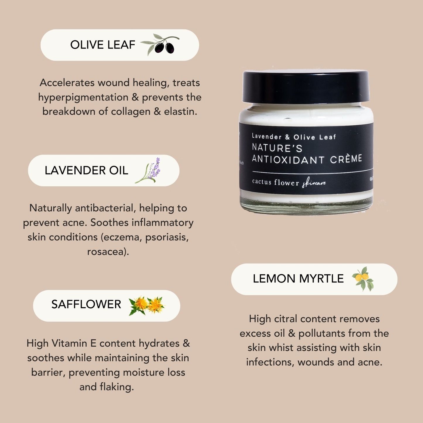Nature's Antioxidant Crème