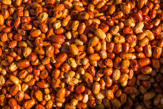 Why jojoba oil is one of the best ingredients for balanced skin