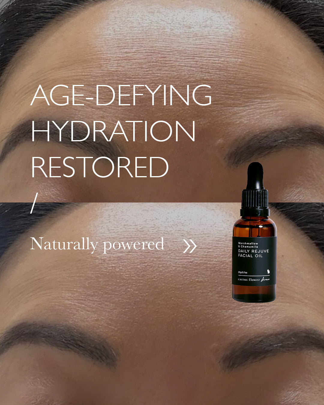 Daily Rejuve Facial Oil (Night)