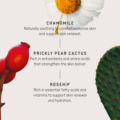 Daily Rejuve Facial Oil