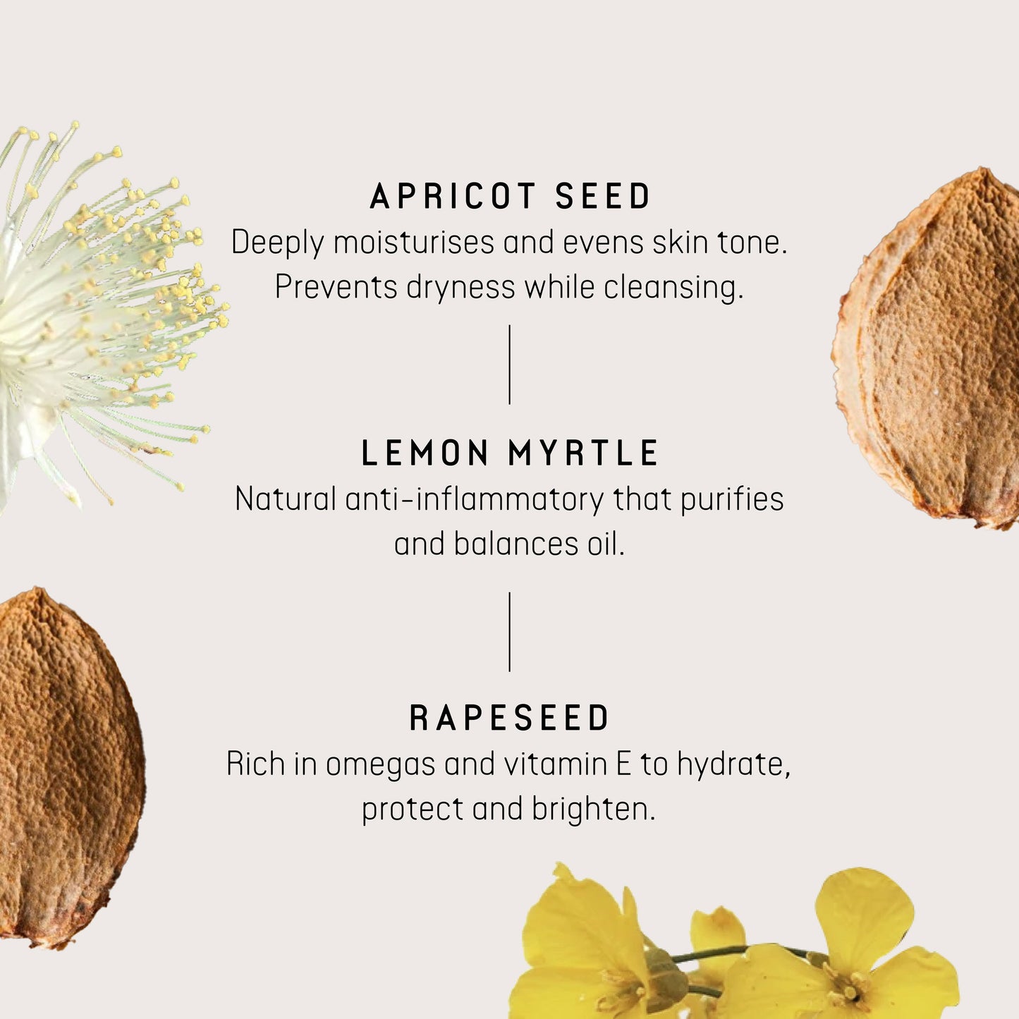 Lemon Myrtle Cleanser