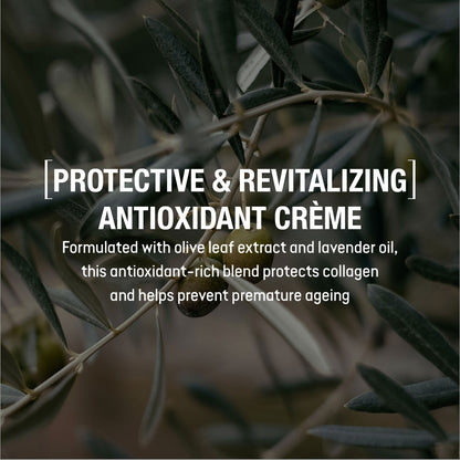 Nature's Antioxidant Crème