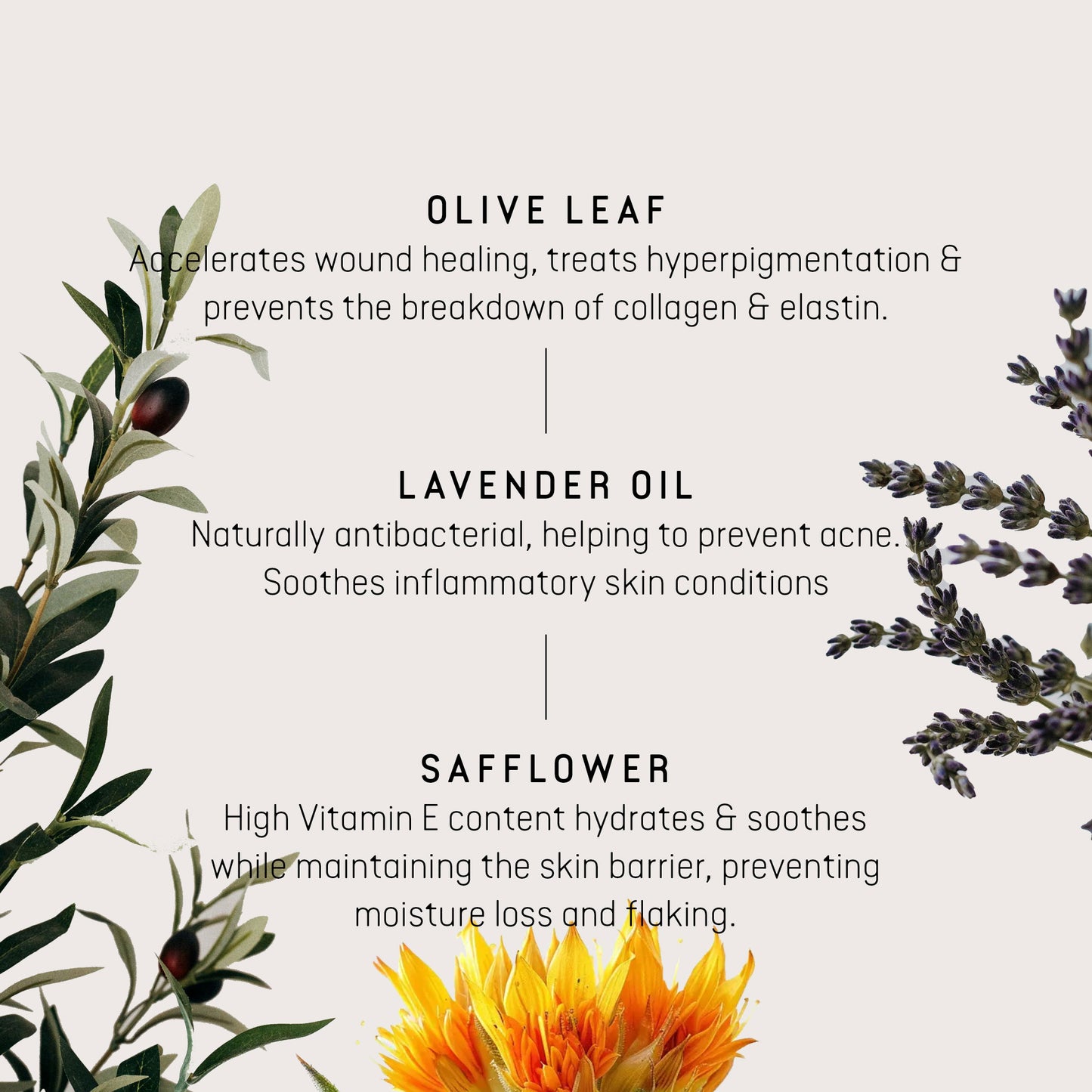 Nature's Antioxidant Crème