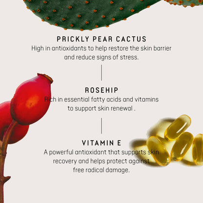 Close up of the 3 key  ingredients present in the night serum of cactus skincare 