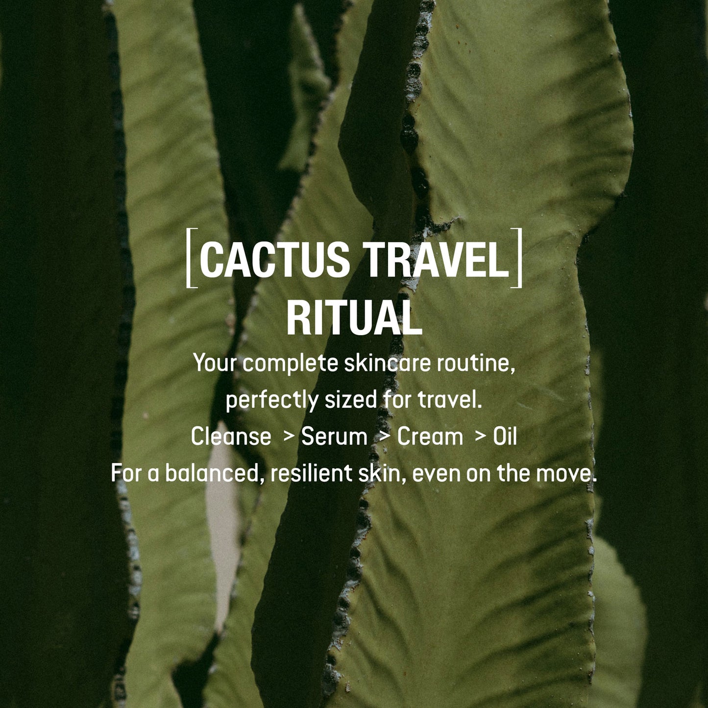 Cactus travel ritual