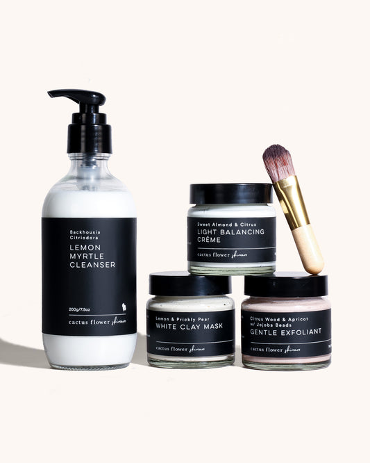 Oily Skin Kit